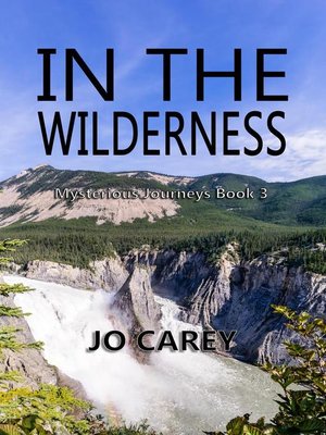 cover image of In the Wilderness